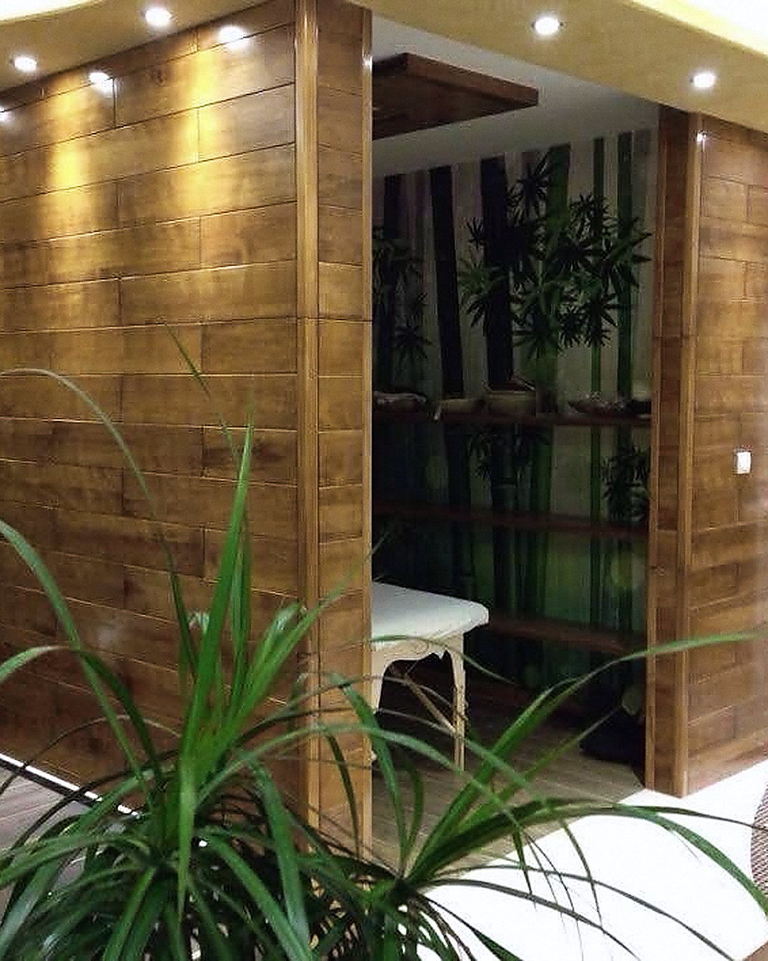 Prolaz kroz SPA centar, drvena obloga i zelenilo